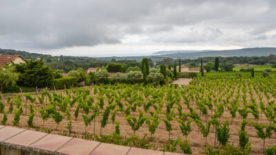 Mariage-St-Tropez-Photographe-Georges-Panossian