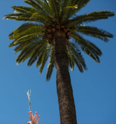 EVJF à St Tropez-Georges Panossian photographe