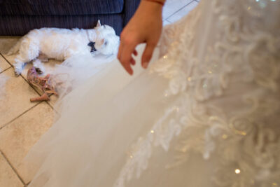 Mariage au Moulin de Gemenos-Photographe-Georges-Panossian
