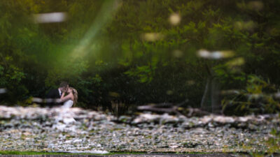Mariage au Moulin de Gemenos-Photographe-Georges-Panossian