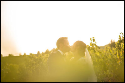 Mariage de rêve au domaine de la Toussane-Georges Panossian photographe
