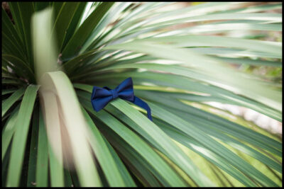 mariage au Domaine de la Toussane-Georges Panossian photographe