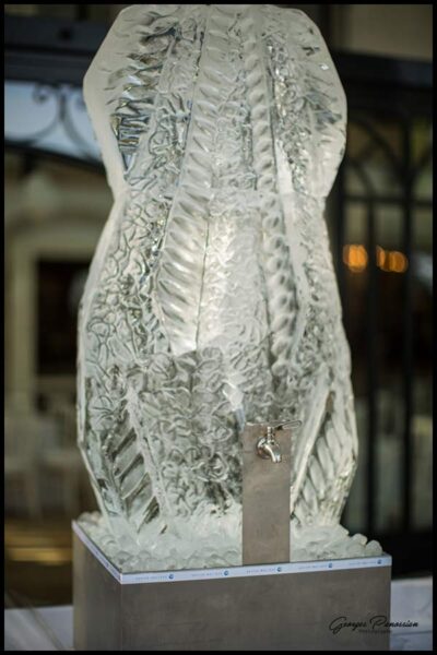 mariage-domaine-de-la-Baratonne-georges-panossian-photographe