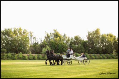mariage-domaine-de-la-Baratonne-georges-panossian-photographe
