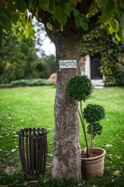 Mariage au Domaine du Moulin de l'Arc-Georges Panossian Photographe